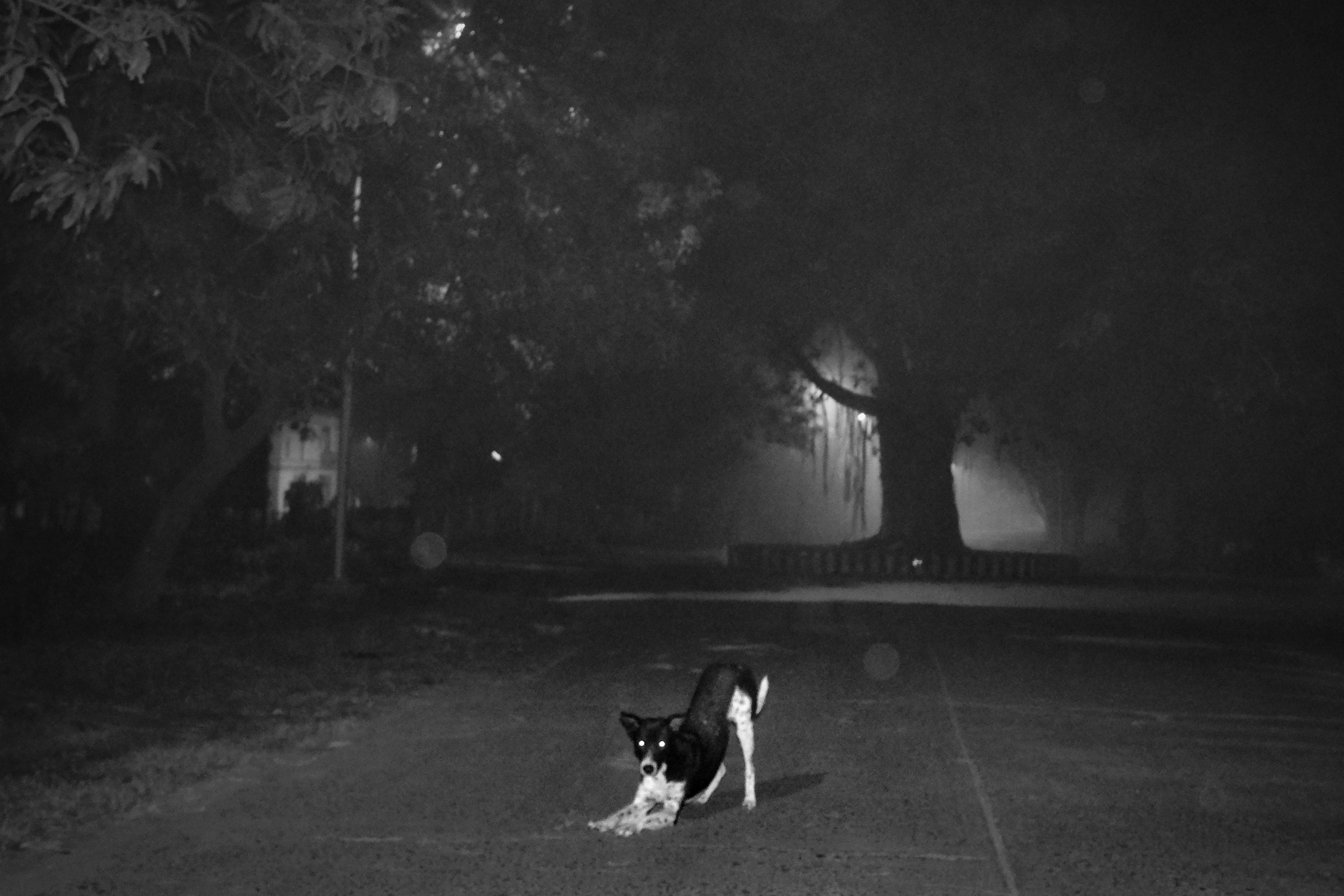 Street Photography Black & White 32